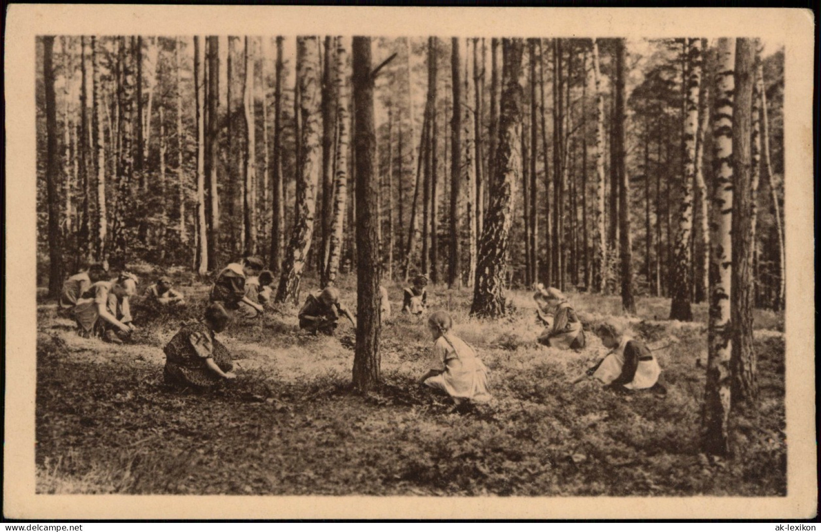 Liegau-Augustusbad-Radeberg Herzheilstätte Bethlehemstift Kinder Im Wald 1922 - Radeberg