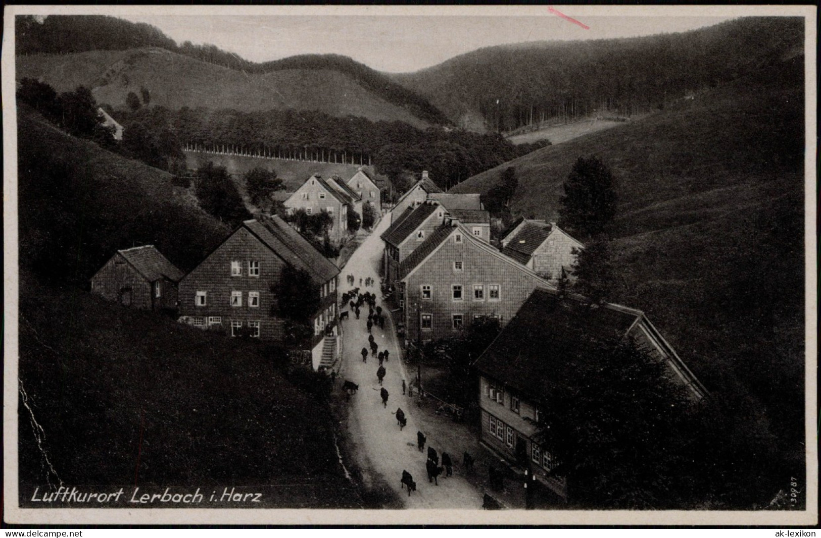 Ansichtskarte Lerbach-Osterode (Harz) Straßenpartie 1932 - Osterode