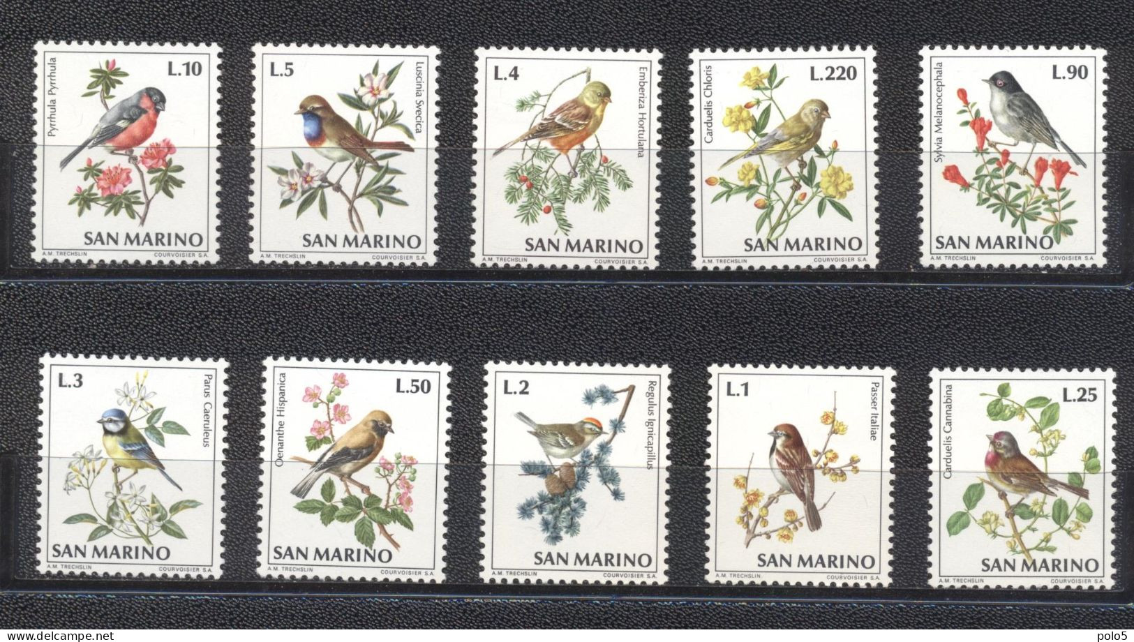 San Marino 1972- Oiseaux Set (10v) - Unused Stamps