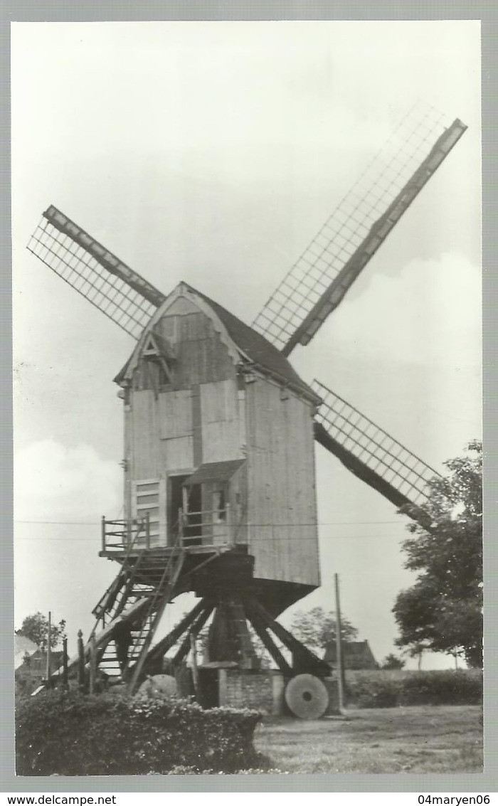 ***  MEERHOUT - ZITTAART  ***   -    Molen (1) - Meerhout