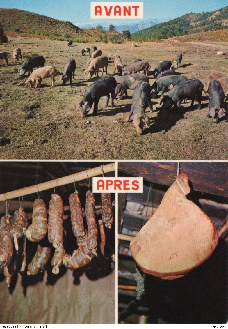 CPM - R - CORSE - CHARCUTERIE CORSE - AVANT - APRES - Corse