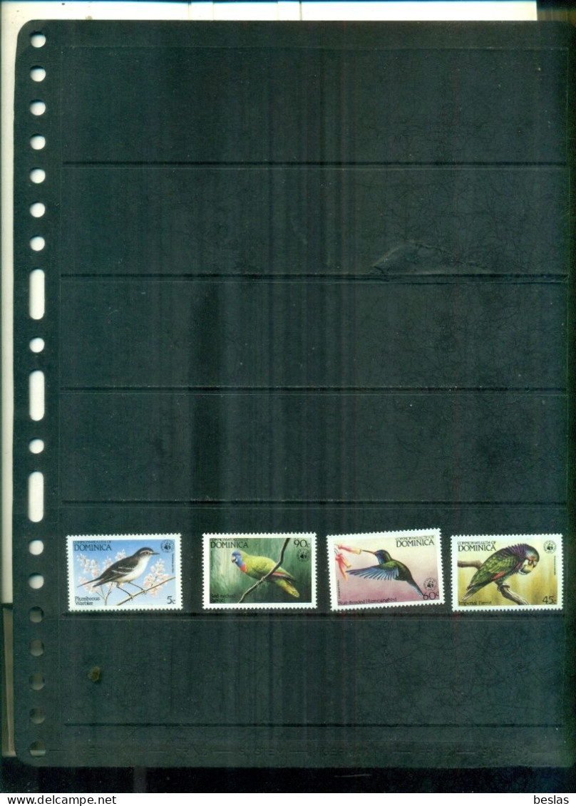 DOMINICA  OISEAUX WWF  4 VAL NEUFS A PARTIR DE 4 EUROS - Dominique (1978-...)