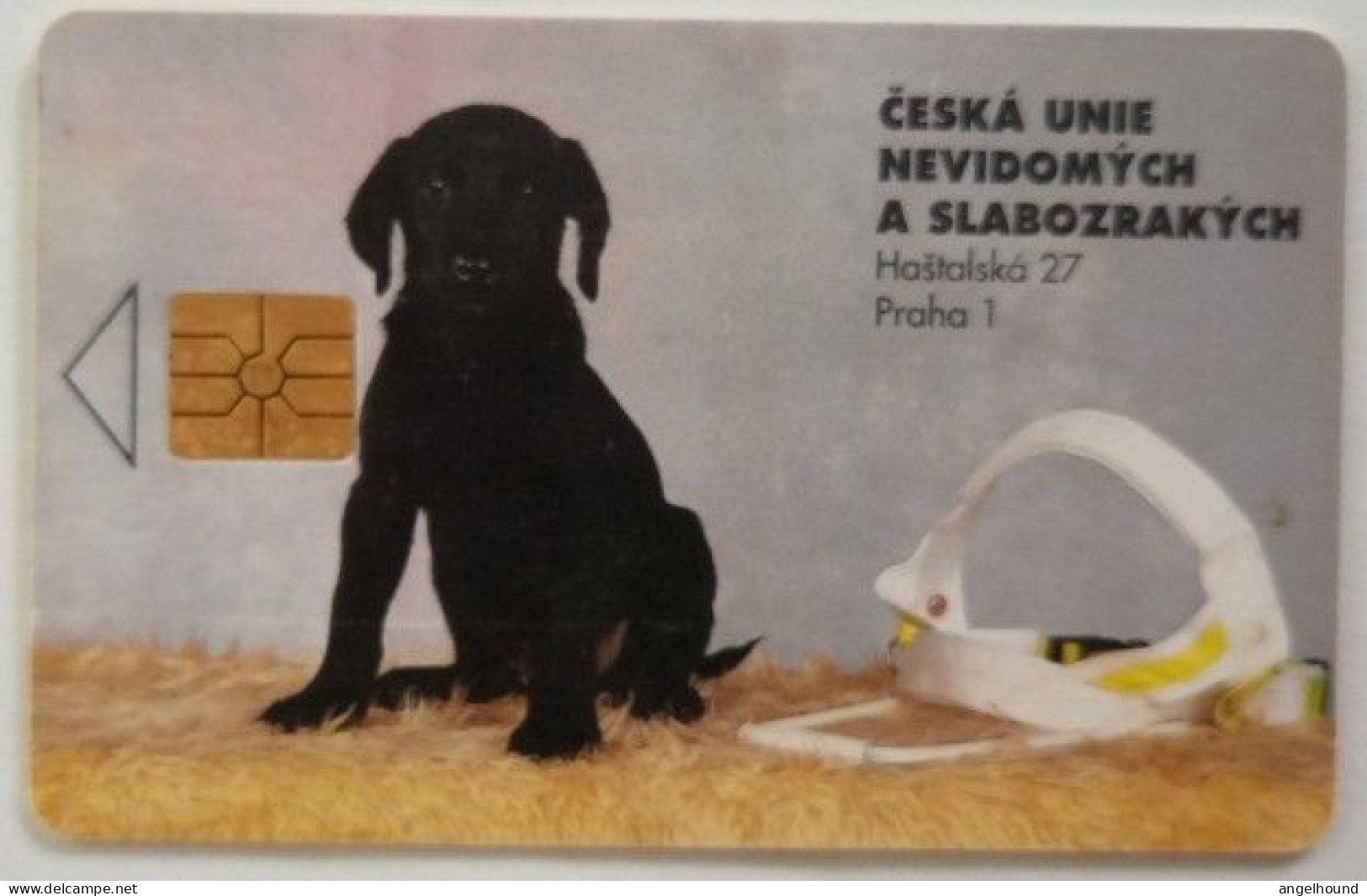 Czech Republic SPT 50 Units - Blind Union ( Dog ) - Tchéquie