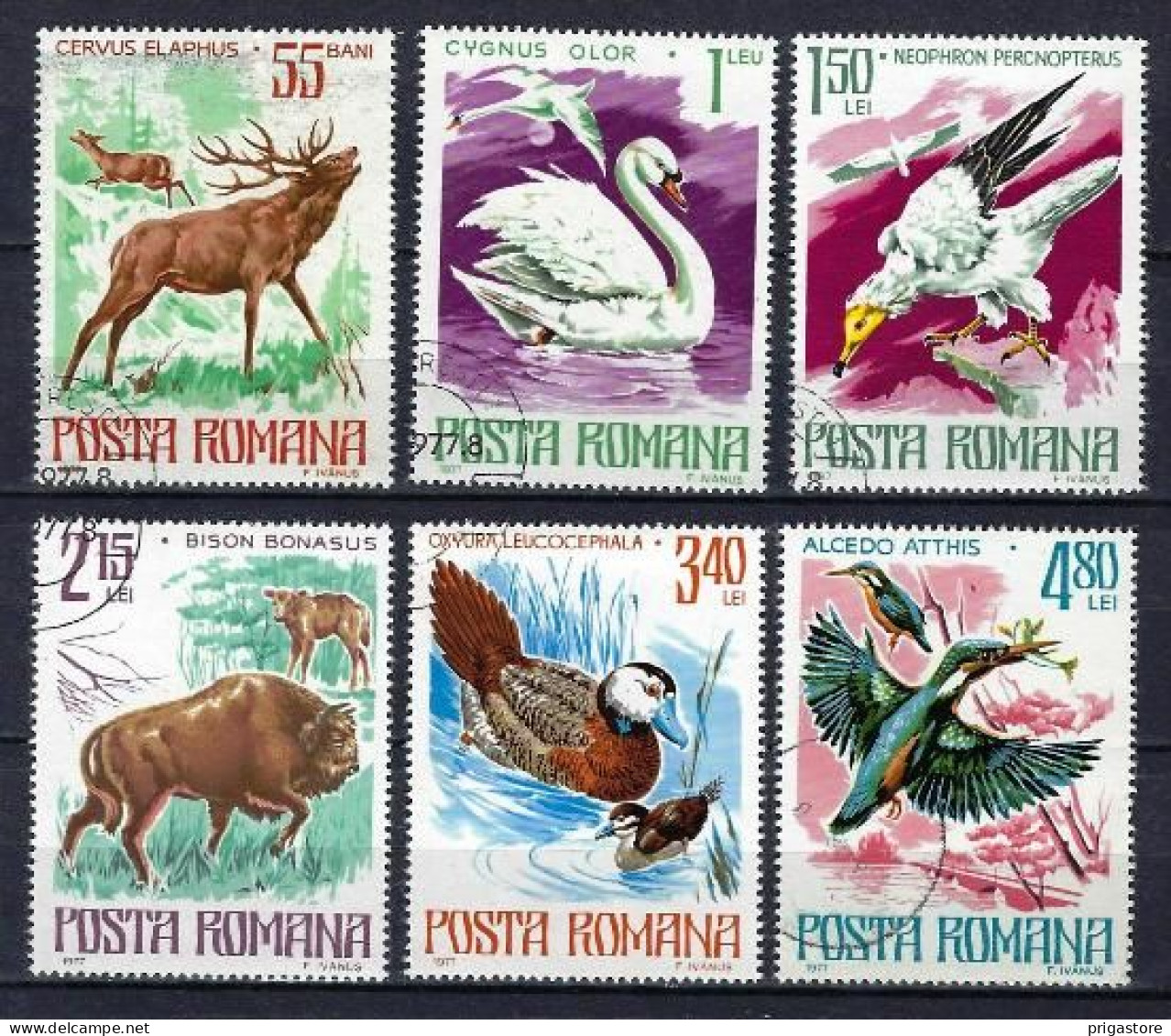 Roumanie 1977 Animaux Sauvages (58) Yvert N° 3021 à 3026 Oblitéré Used - Used Stamps