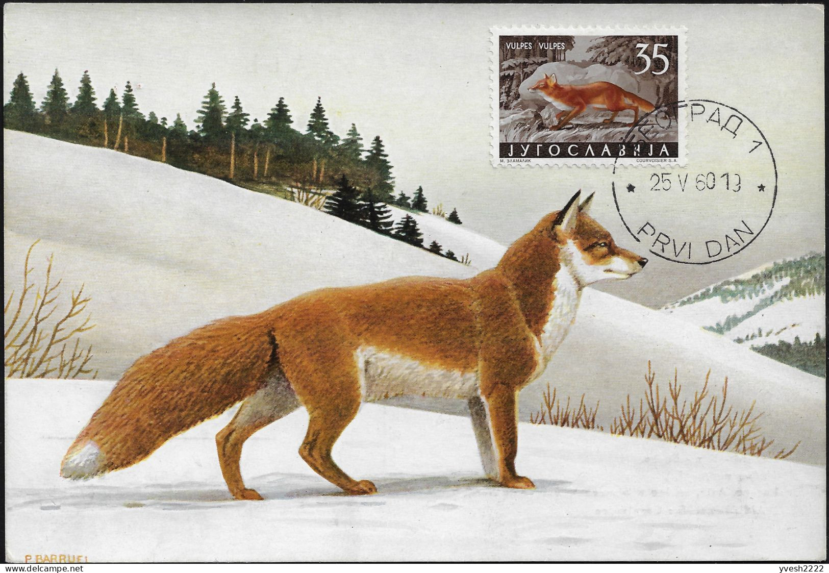 Yougoslavie 1960 Y&T 822. Carte Maximum. Renard - Honden