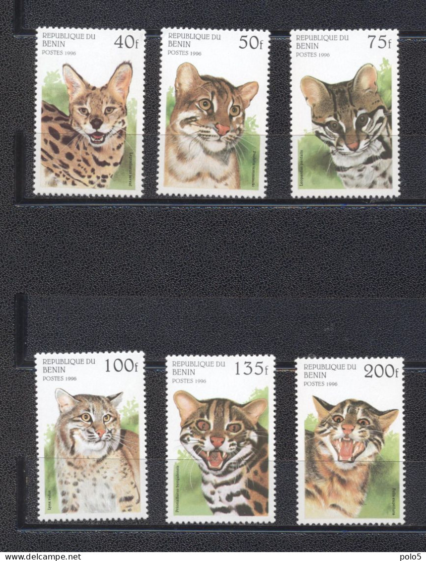 Benin 1996- Wild Cats Set(6v) - Benin - Dahomey (1960-...)