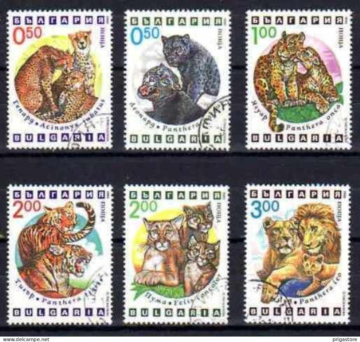 Bulgarie 1992 Animaux Félins (71) Yvert N° 3486 à 3491 Oblitérés Used - Oblitérés