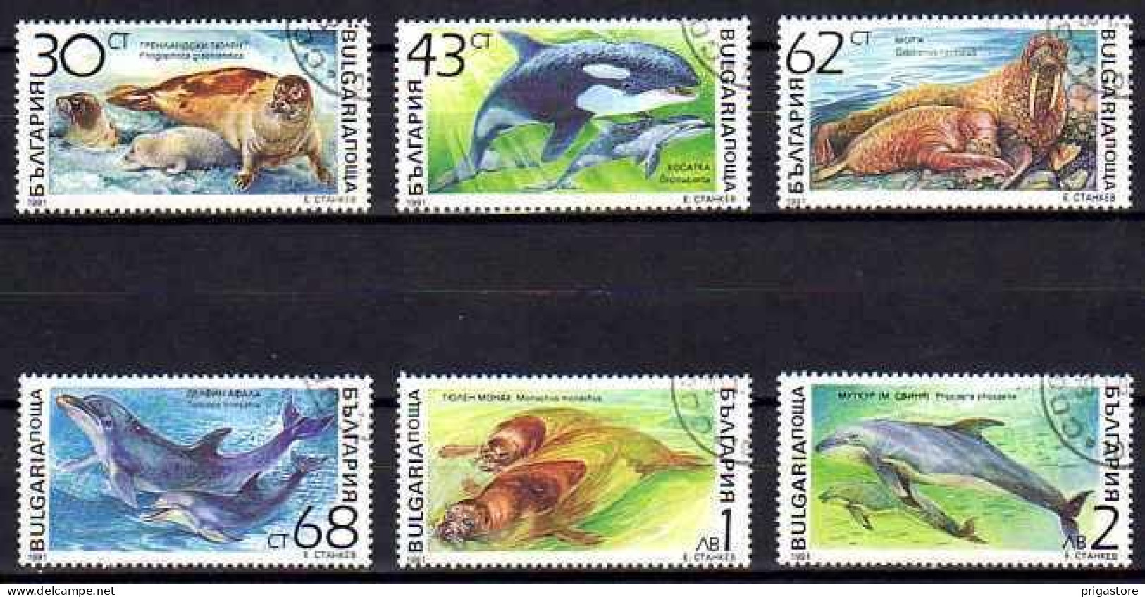 Bulgarie 1991 Animaux Mammifères Marins (72) Yvert N° 3424 à 3429 Oblitéré Used - Used Stamps