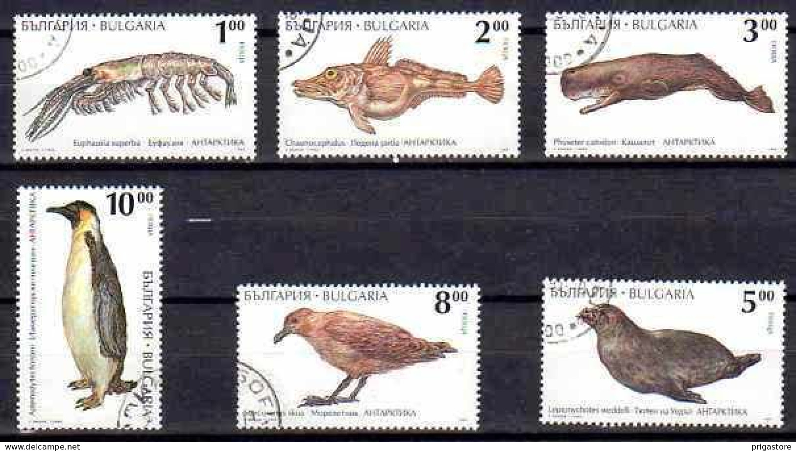 Bulgarie 1995 Animaux Sauvages (73) Yvert N° 3602 à 3607 Oblitéré Used - Usati