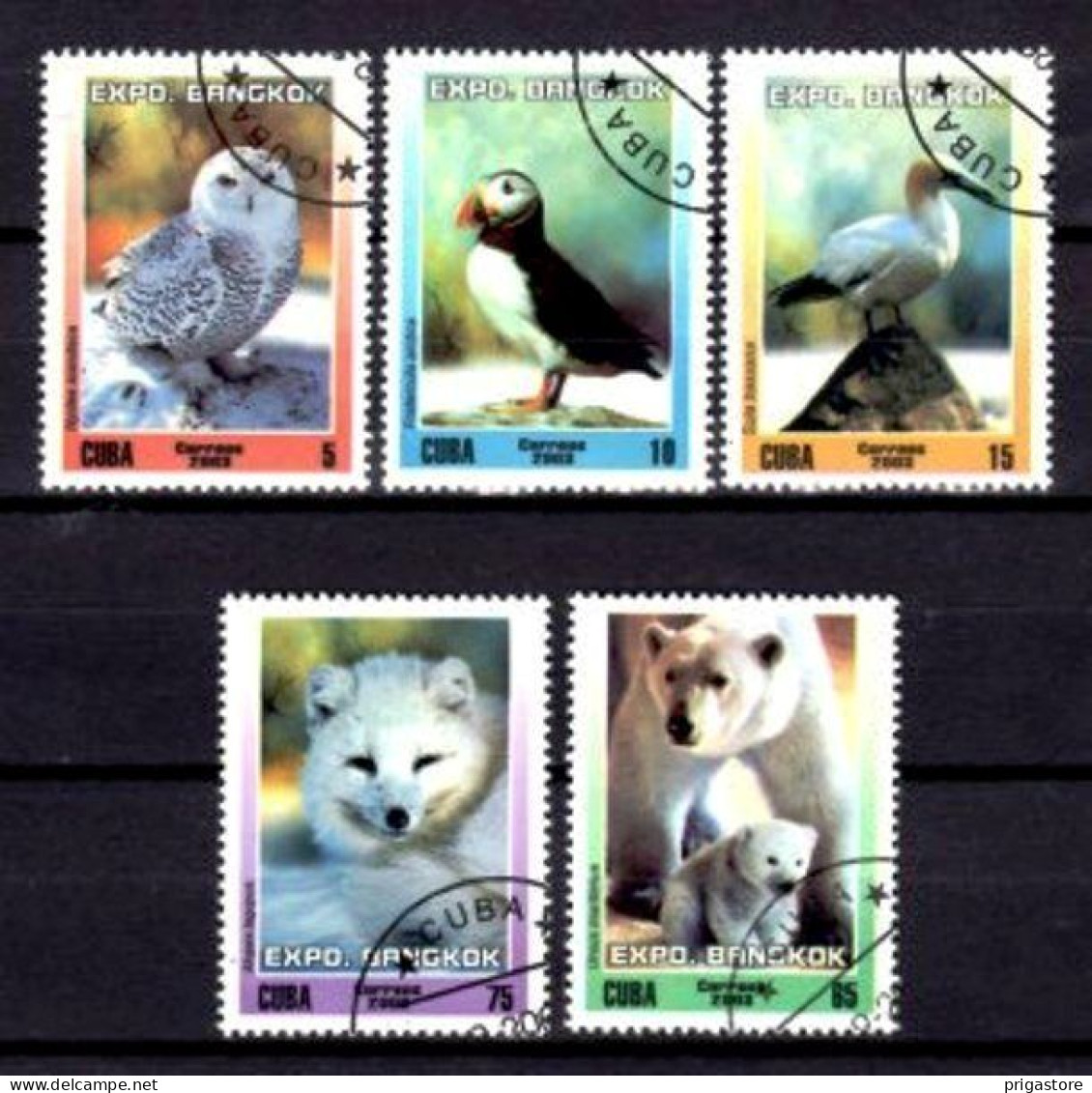 Cuba 2003 Animaux Sauvages (77) Yvert N° 4102 à 4106 Oblitéré Used - Usati