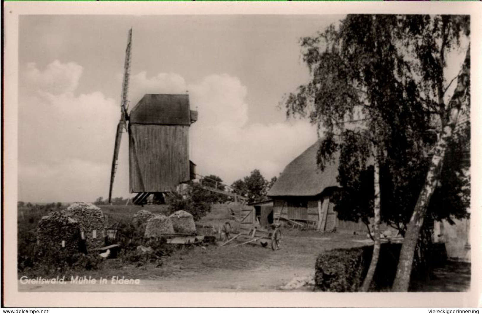 ! Foto Ansichtskarte, Greifswald, Mühle In Eldena, Windmühle, Moulin A Vent, Windmill - Mulini A Vento