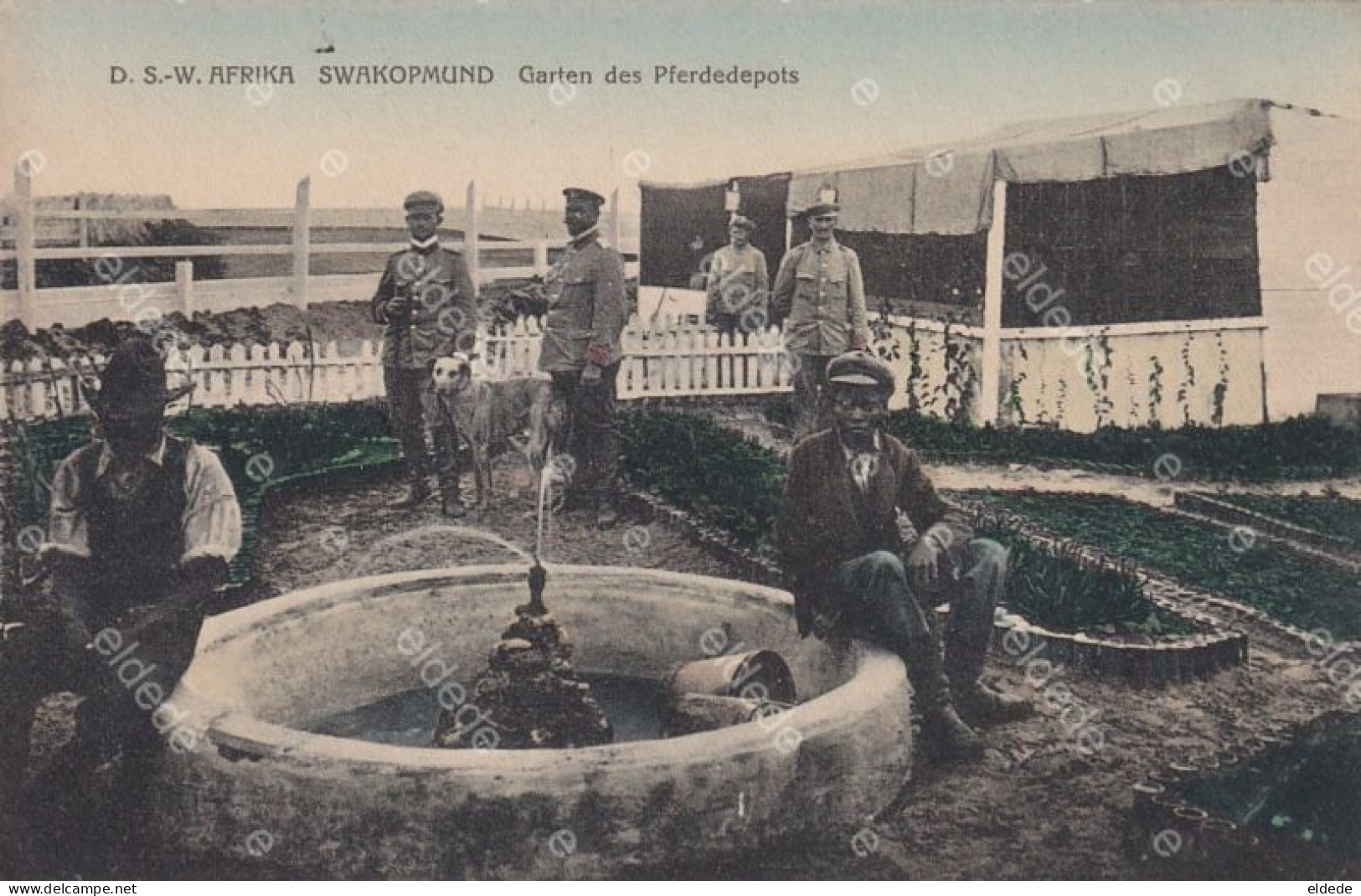 Swakopmund  D.S.W. Afrika Garten Des Pferdedepots Hand Colored - Namibie