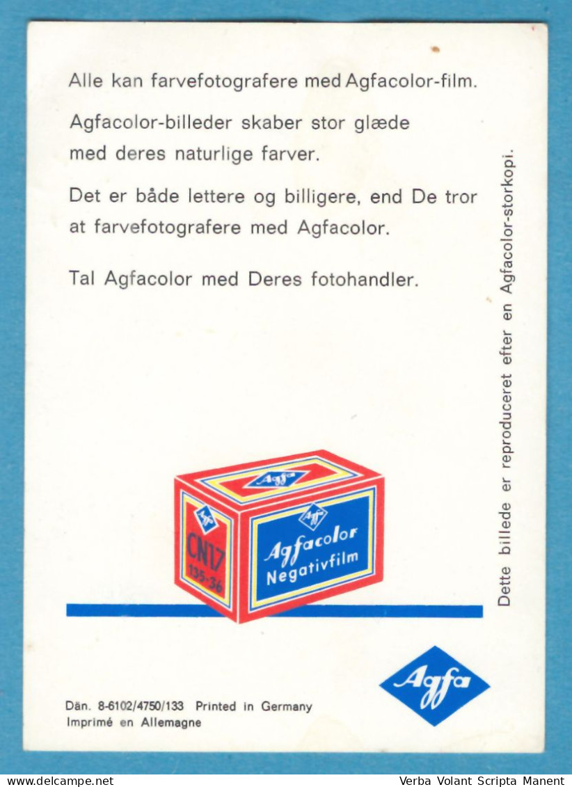 H-5200 * Advertising Flyer 7.5x10.5 Cm In Danish - AGFA AgfaColor Negativfilm CN17 135-36 - Bird, Fruit, Cherries, Photo - Publicités