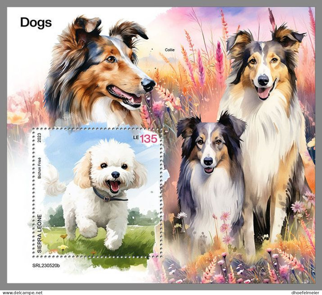 SIERRA LEONE 2023 MNH Dogs Hunde S/S – OFFICIAL ISSUE – DHQ2411 - Honden