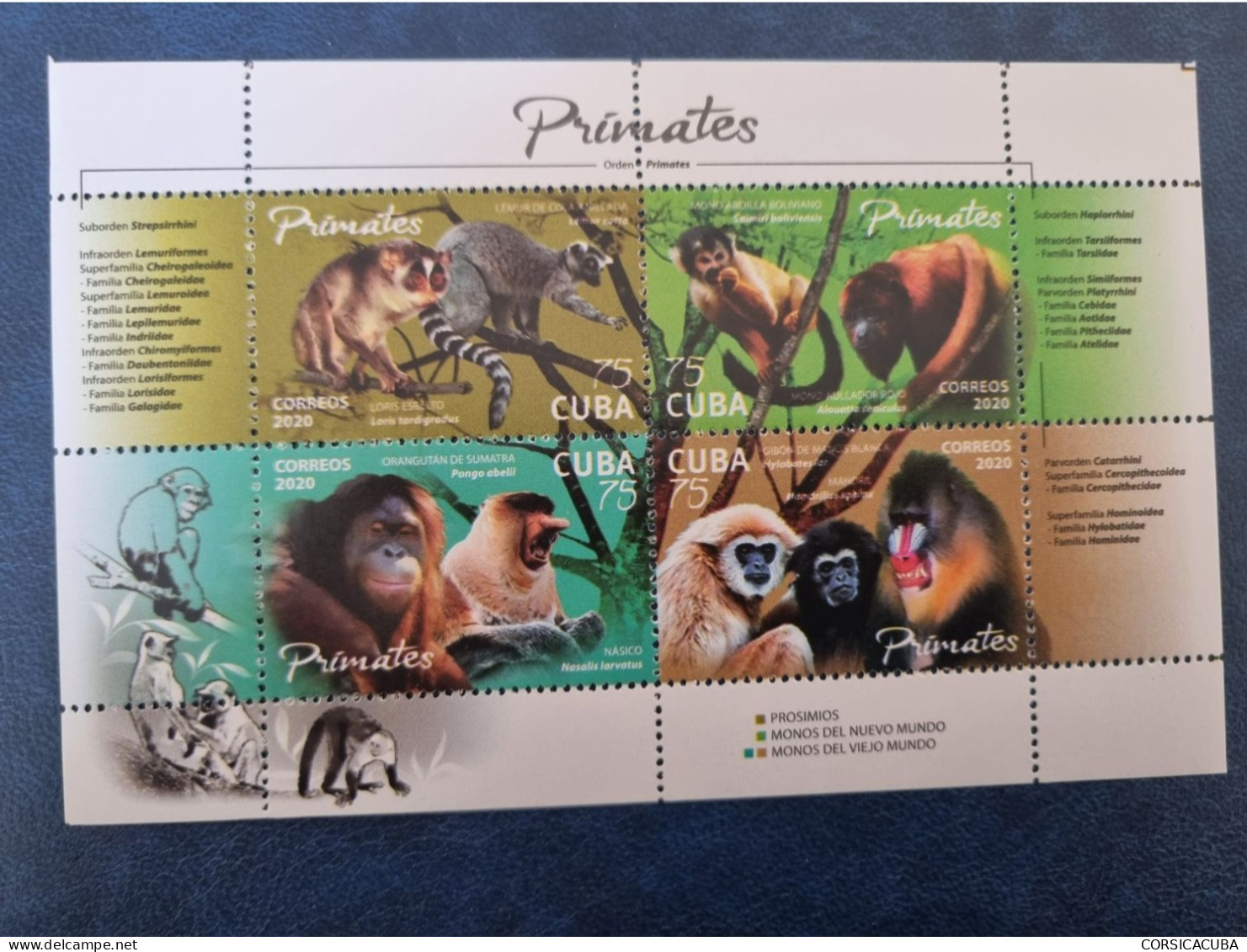 CUBA  NEUF   2020   HE  PRIMATES- DENTELE  COMPLET  //  PARFAIT  ETAT  //  1er  CHOIX  // - Unused Stamps