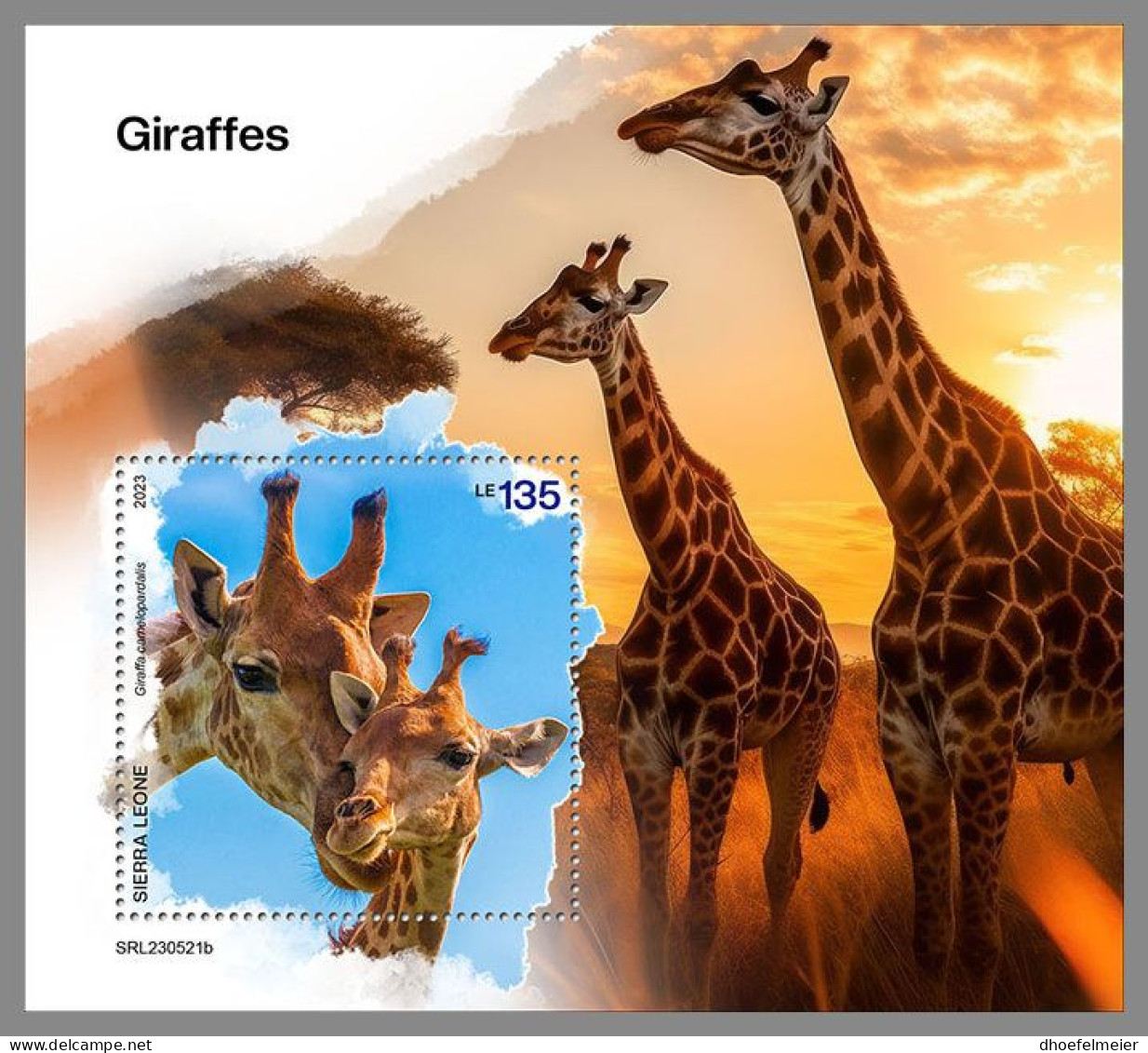 SIERRA LEONE 2023 MNH Giraffes Giraffen S/S – IMPERFORATED – DHQ2411 - Giraffes