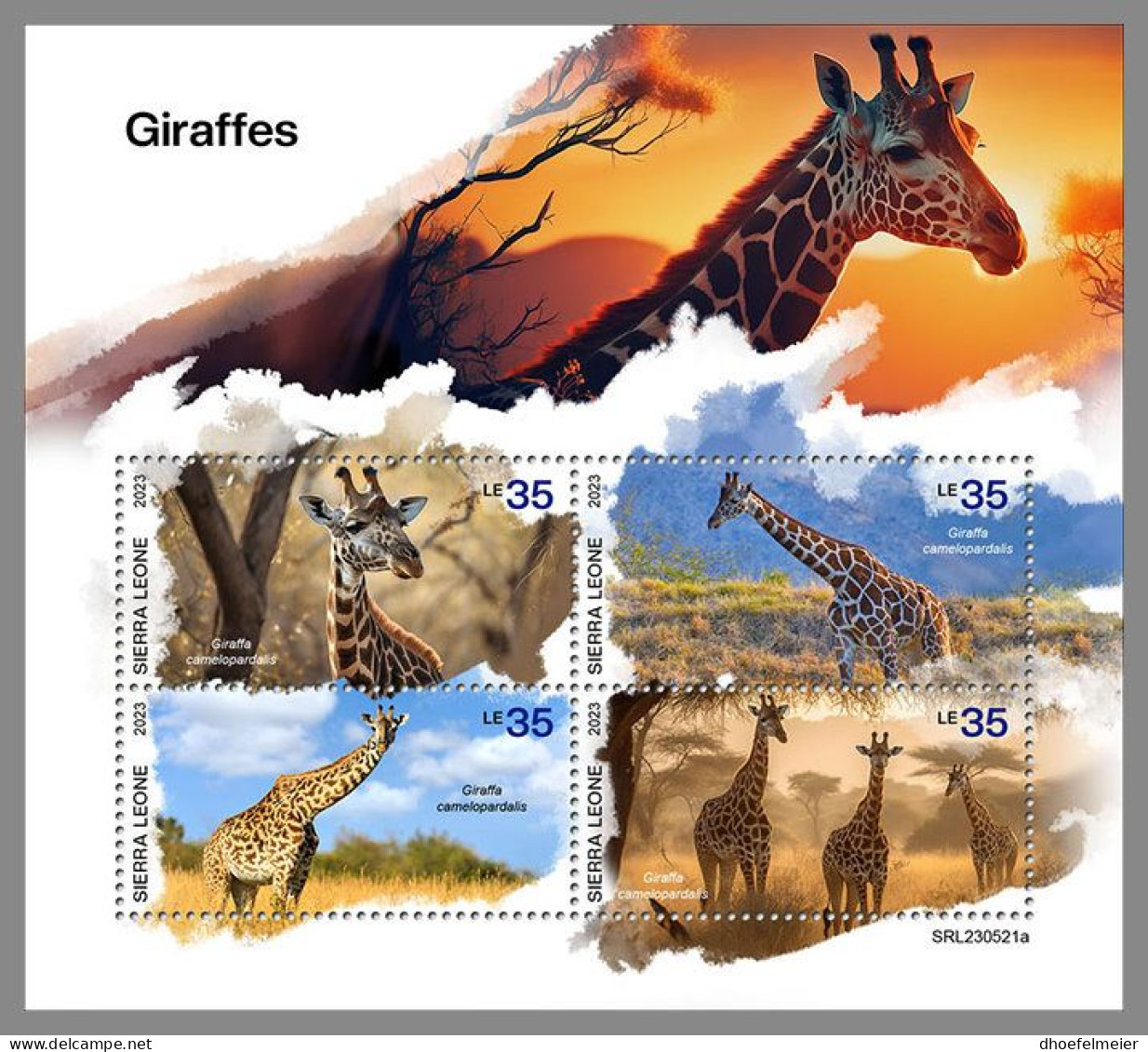 SIERRA LEONE 2023 MNH Giraffes Giraffen M/S – IMPERFORATED – DHQ2411 - Giraffe