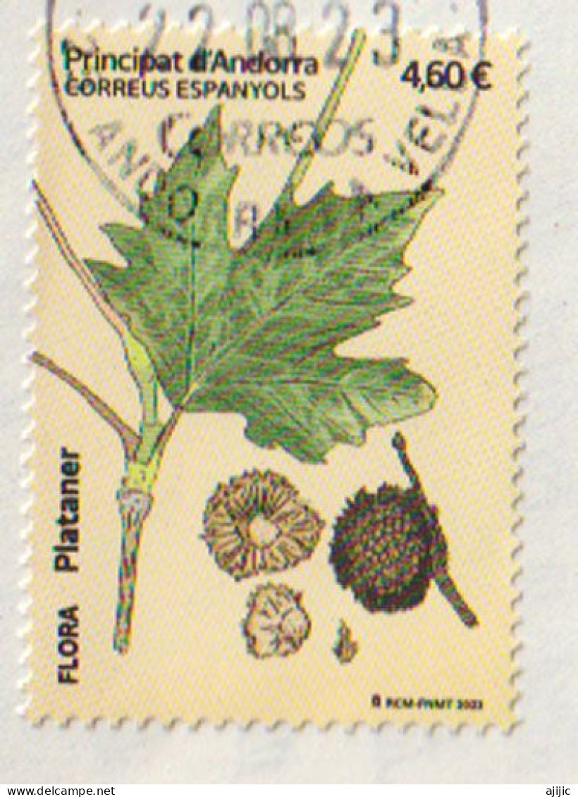 2023.ANDORRA. Feuille De Platane. Timbre Oblitéré, 1 ère Qualité. Haute Faciale - Used Stamps