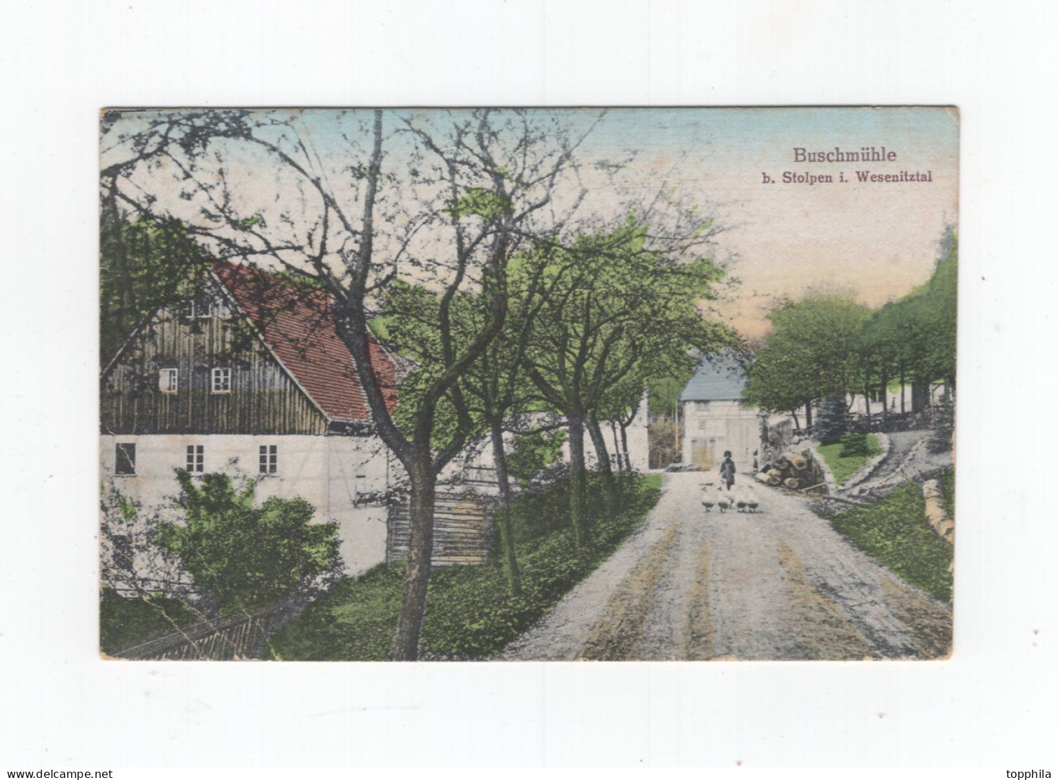 1928 Sachsen Farbige Photokarte Buschmühle  B. Stolpen Wesenitztal Landpoststempel Schmiedefeld - Radeberg