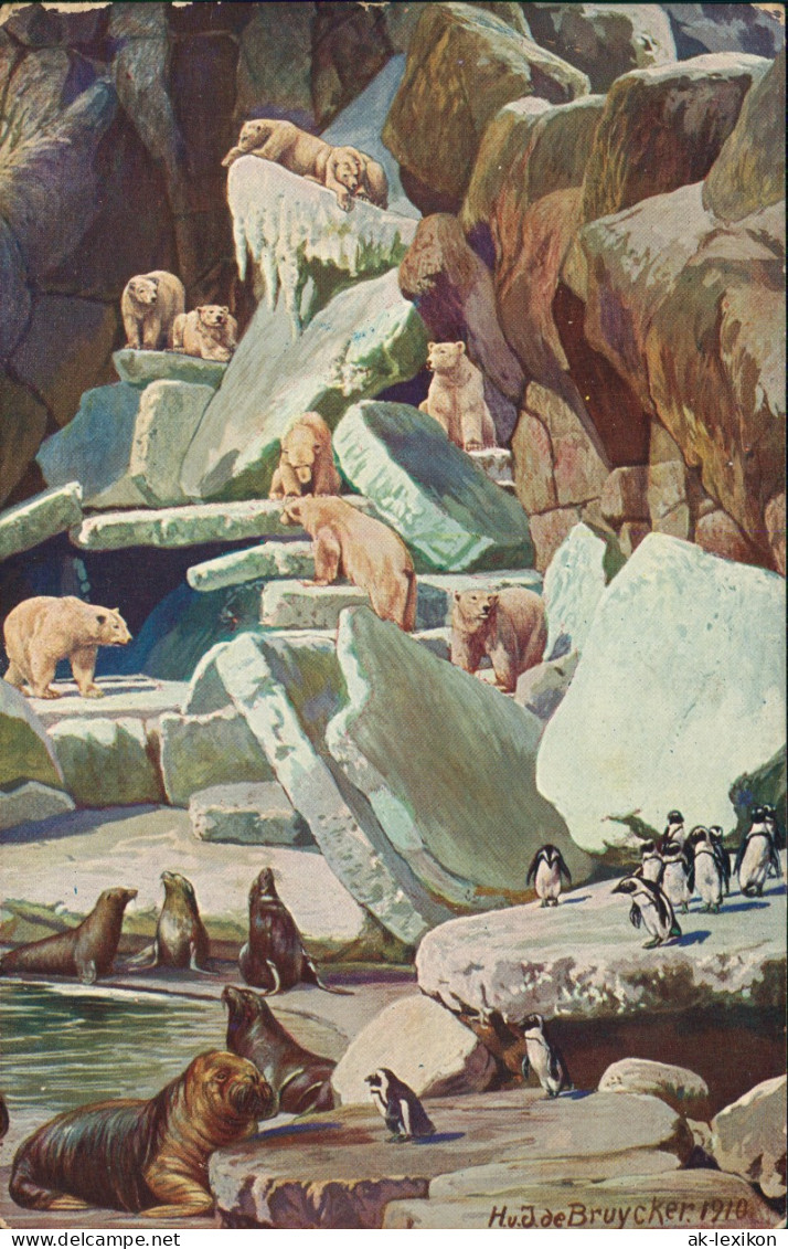 Stellingen-Hamburg Walrosse, Seelöwen, Eisbären Hagenbeck Tierpark 1910 - Stellingen