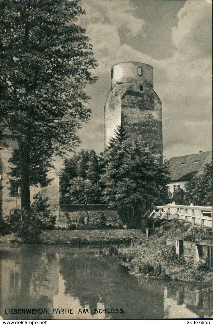 Ansichtskarte Bad Liebenwerda Schloss, Holzbrücke - Lubwartturm 1913 - Bad Liebenwerda