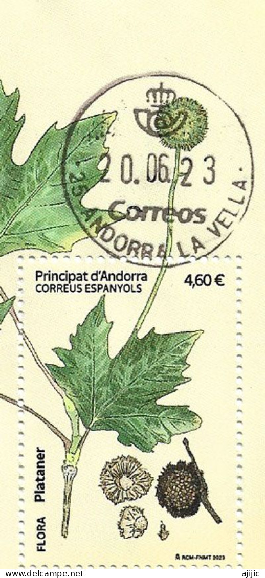 2023.ANDORRA. Feuille De Platane. /  Flora Plataner ,Timbre Oblitéré, 1 ère Qualité. Haute Faciale - Used Stamps