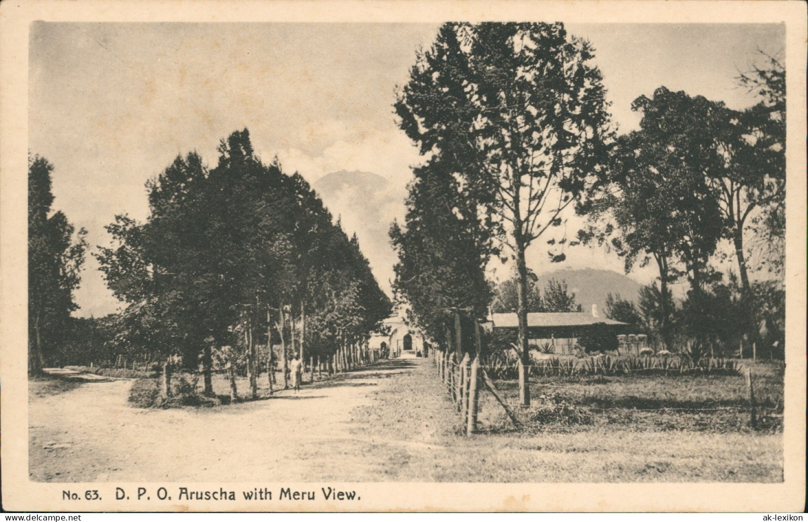 Postcard Arusha Meru View. Tansania Deutsch-Ostafrika Kolonie 1920 - Tansania