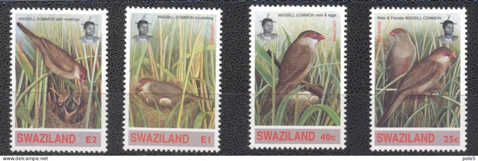 Swaziland 1993 - Birds-Common Waxbill Set(4v) - Swaziland (1968-...)