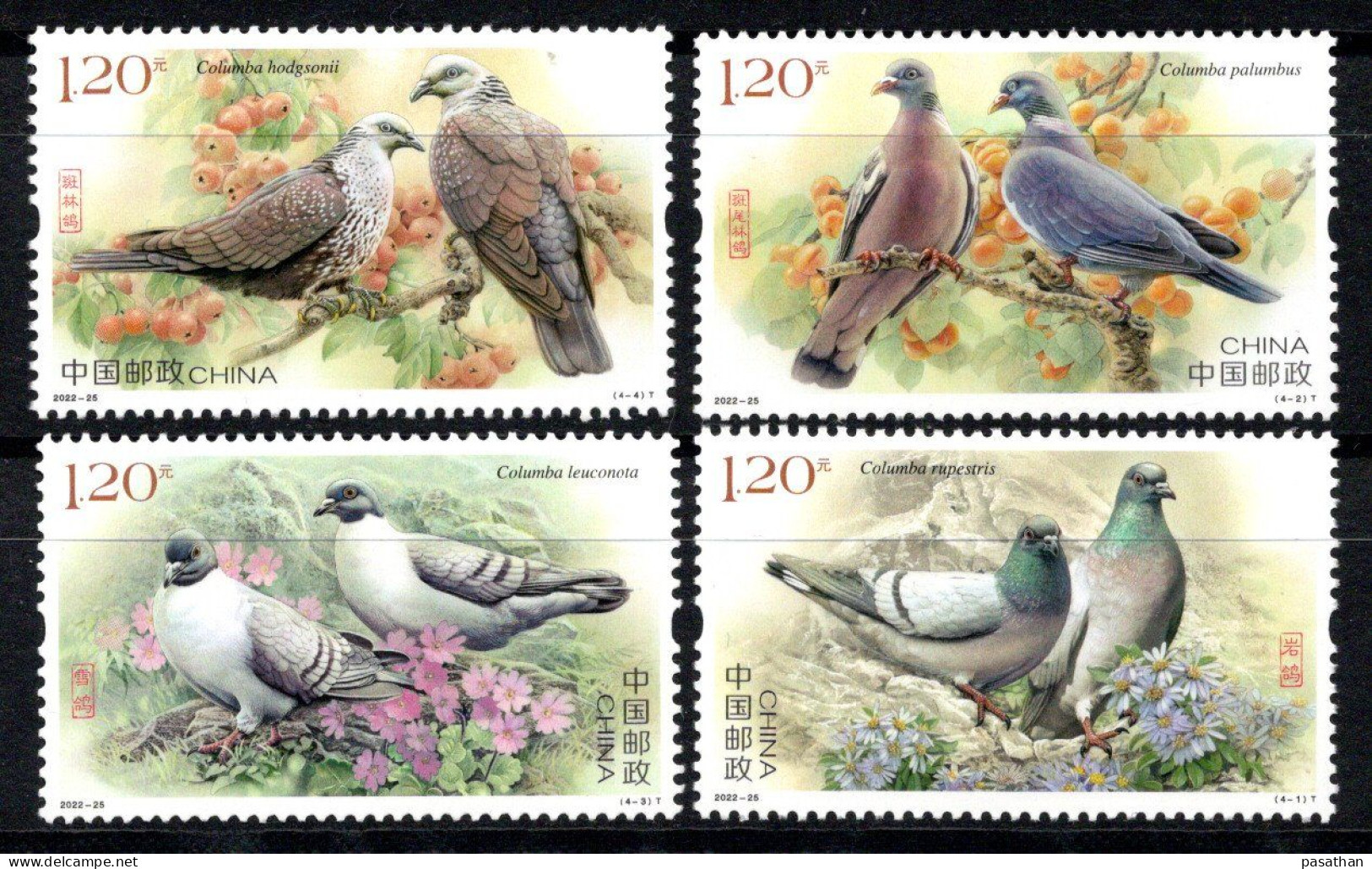 CHINA 2022 - Birds - Pigeons - Cmpt Set - MNH - Ungebraucht