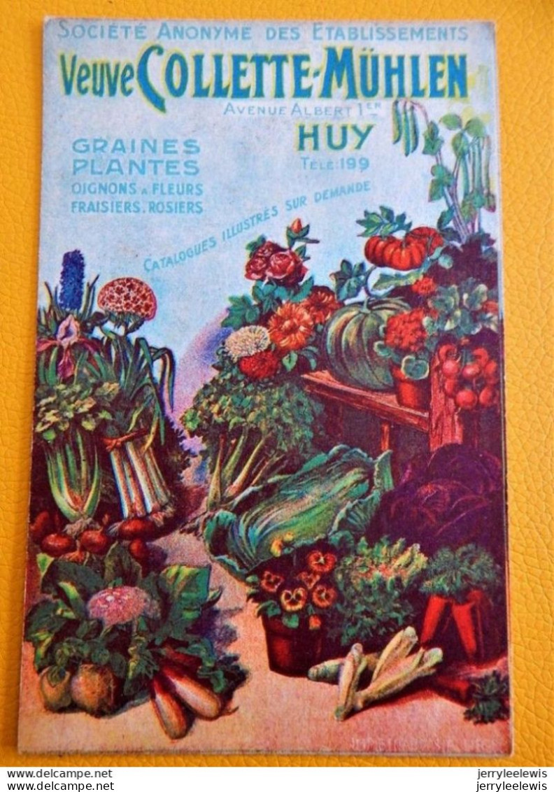 HUY  - Etablissements  " Veuve Colette-Müklen  - Graines Et Plantes  - Carte Publicitaire - Huy