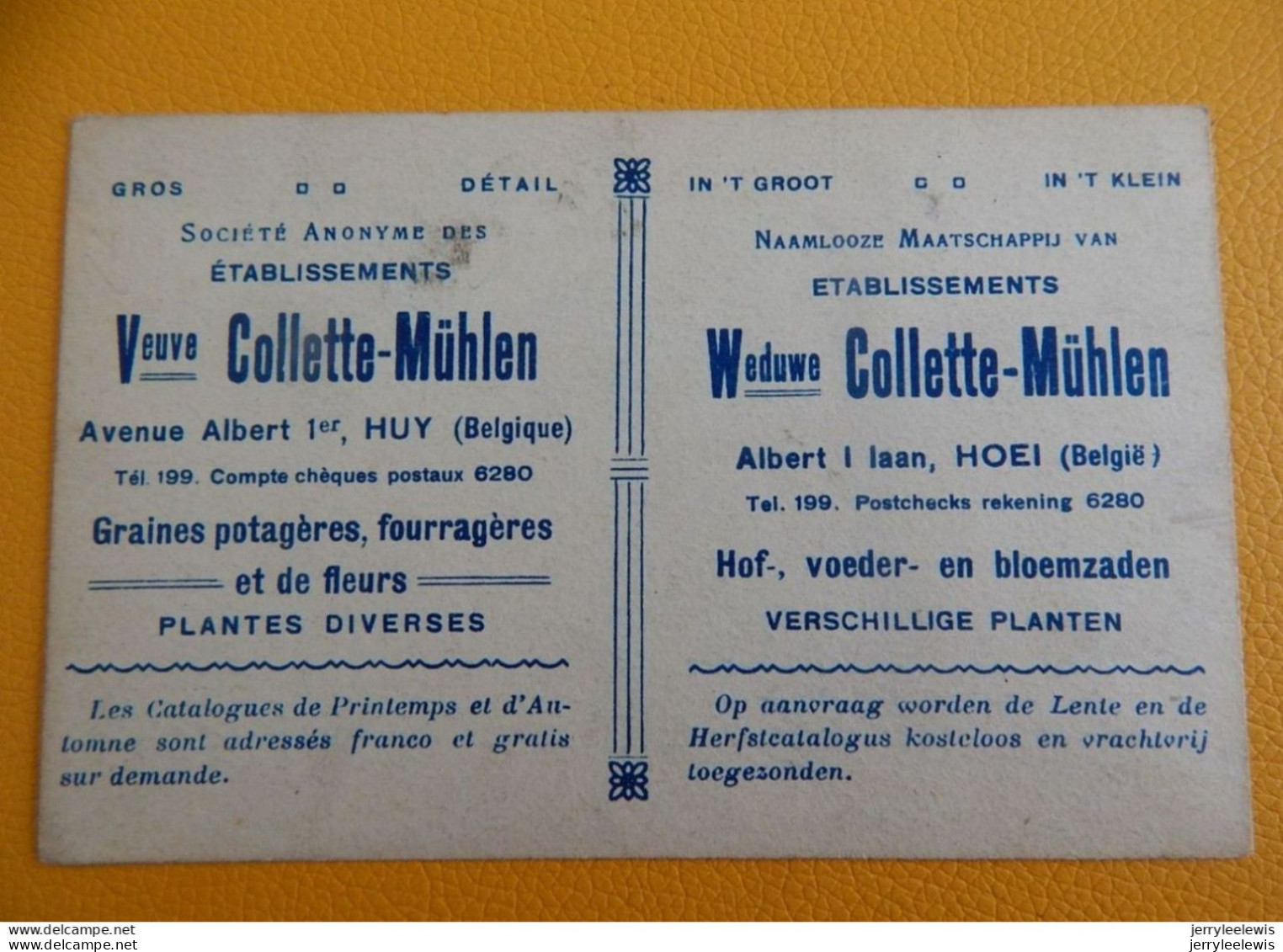 HUY  - Etablissements  " Veuve Colette-Müklen  - Graines Et Plantes  - Carte Publicitaire - Huy