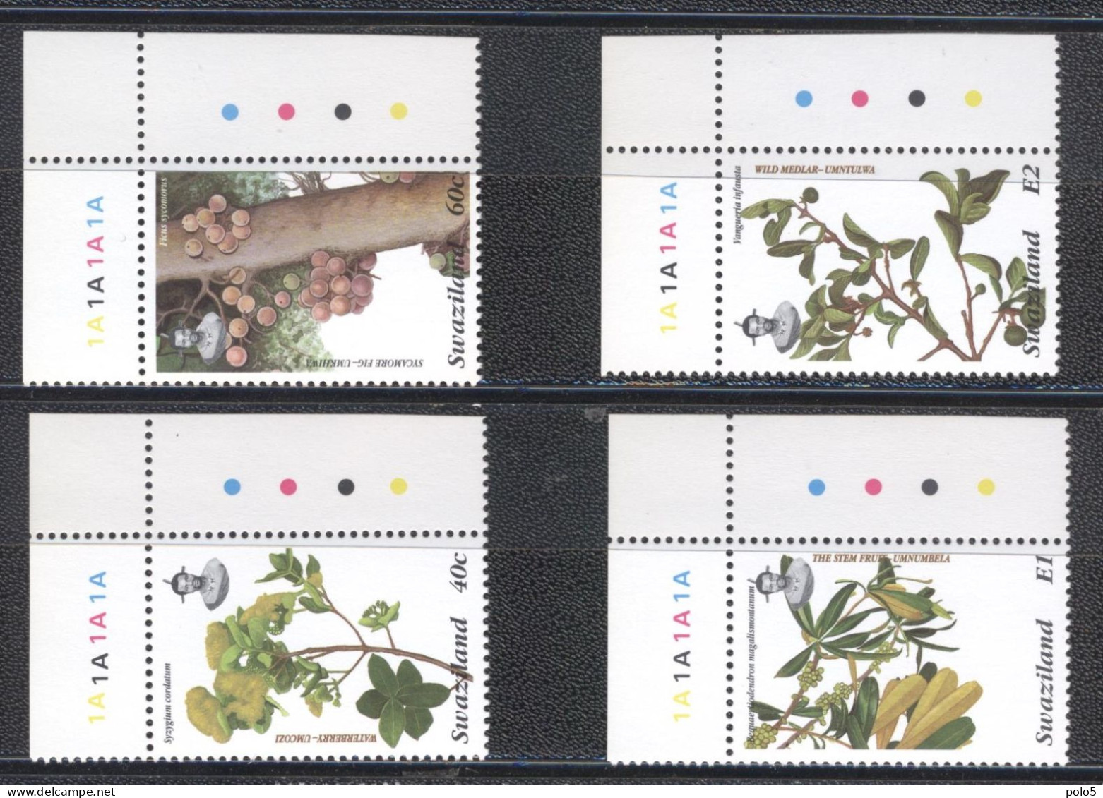 Swaziland 1996- Plants And Fruits Set(4v) - Swaziland (1968-...)