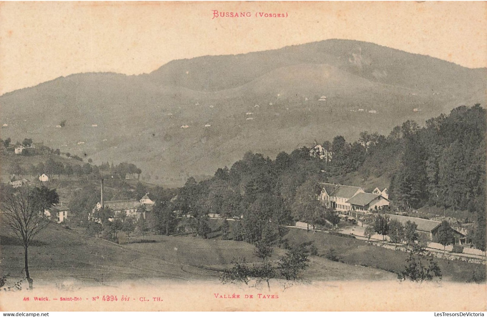 FRANCE - Bussang - Vue Sur La Vallée De Tayes - Carte Postale Ancienne - Bussang