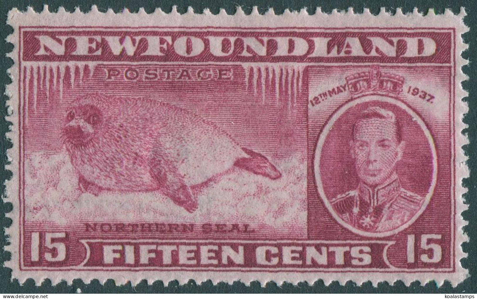 Newfoundland 1937 SG263 15c Red Harp Seal Thin On Back MLH - 1865-1902