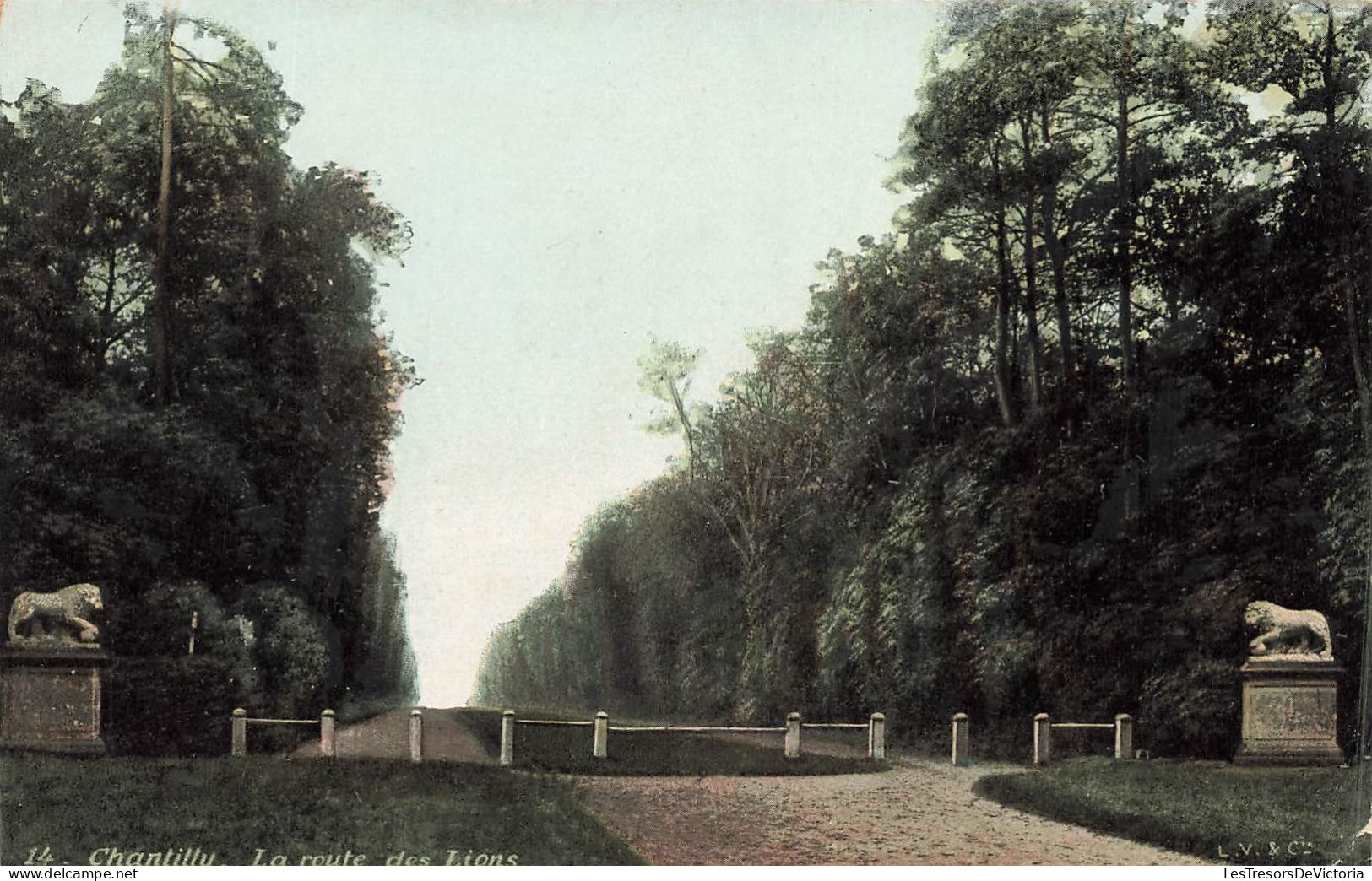 FRANCE - Chantilly - Vue Sur La Route Des Lions - Vue Générale - Carte Postale Ancienne - Chantilly