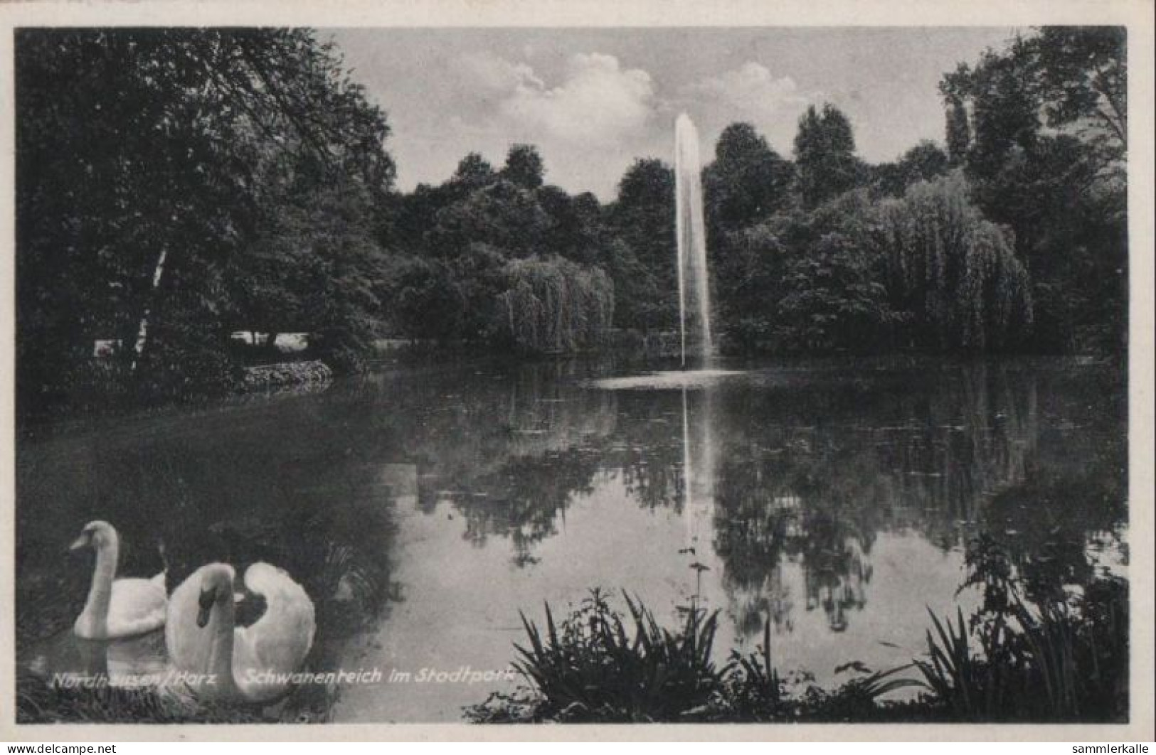 59151 - Nordhausen - Schwanenteich Im Stadtpark - 1938 - Nordhausen