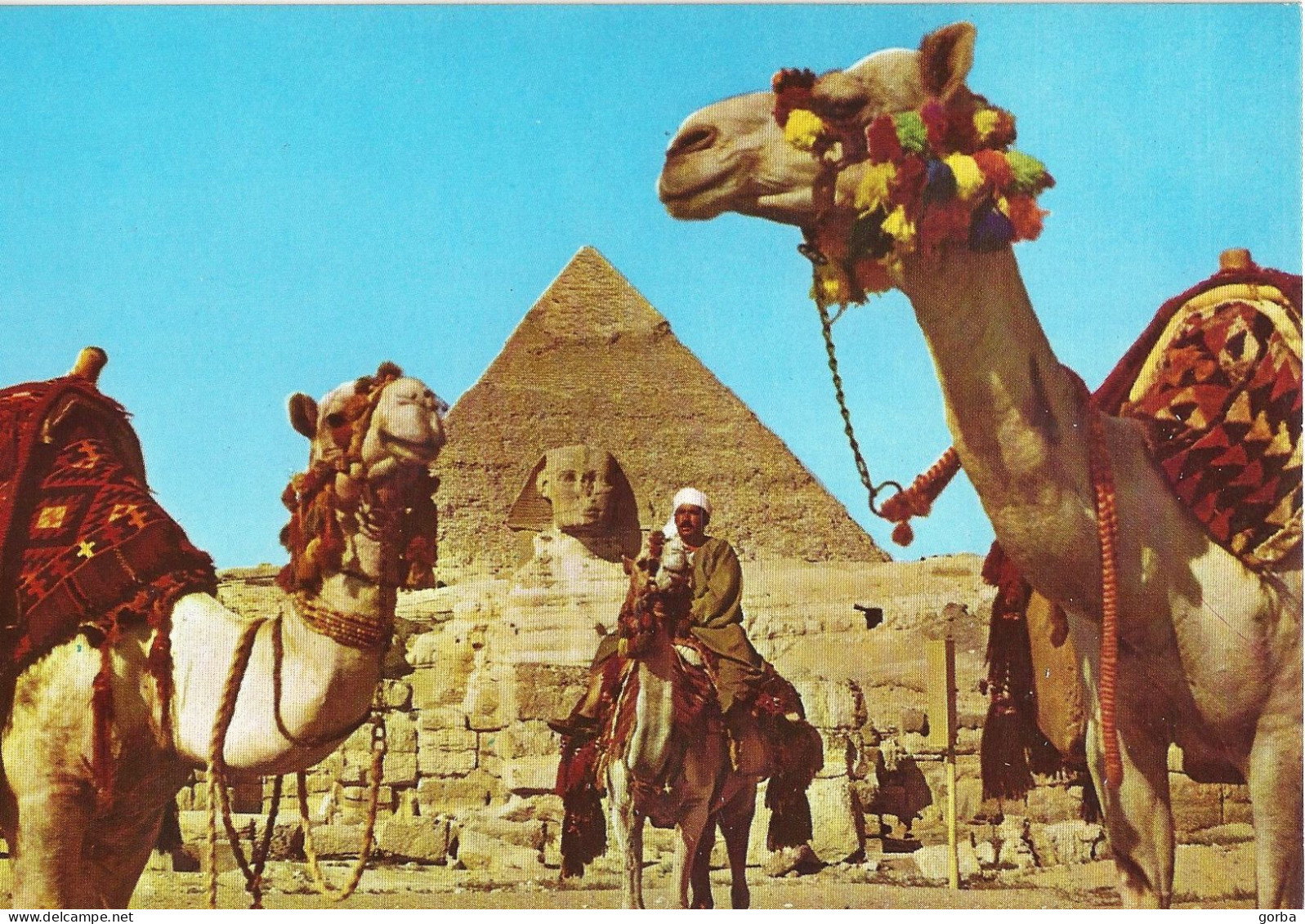 *CPM - EGYPTE - GIZEH - Chamelier Devant  Le Grand Sphinx Et La Pyramide De Kephren - Guiza