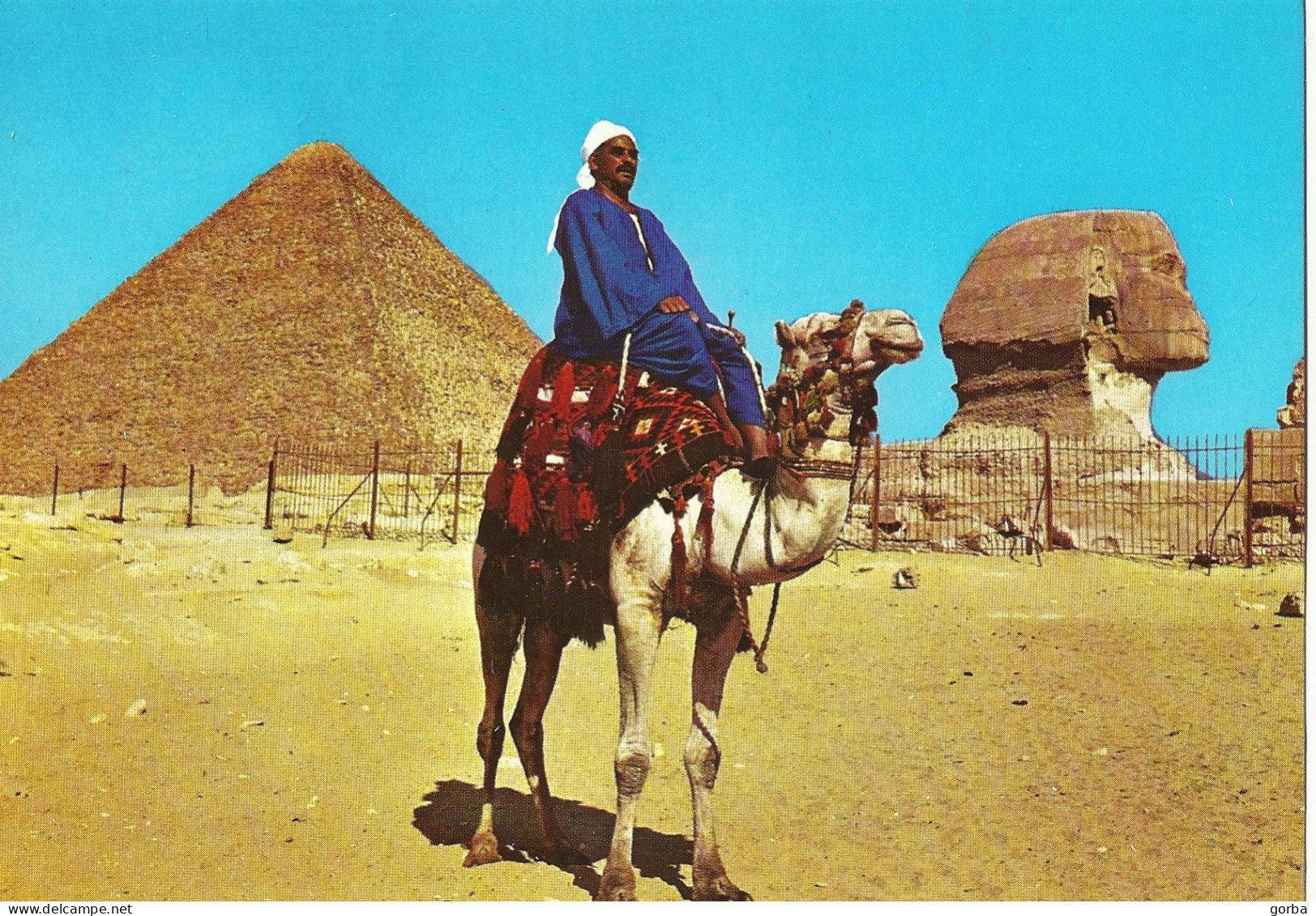 *CPM - EGYPTE - GIZEH - Chamelier Près Du Grand Sphinx Et De La Pyramide - Guiza