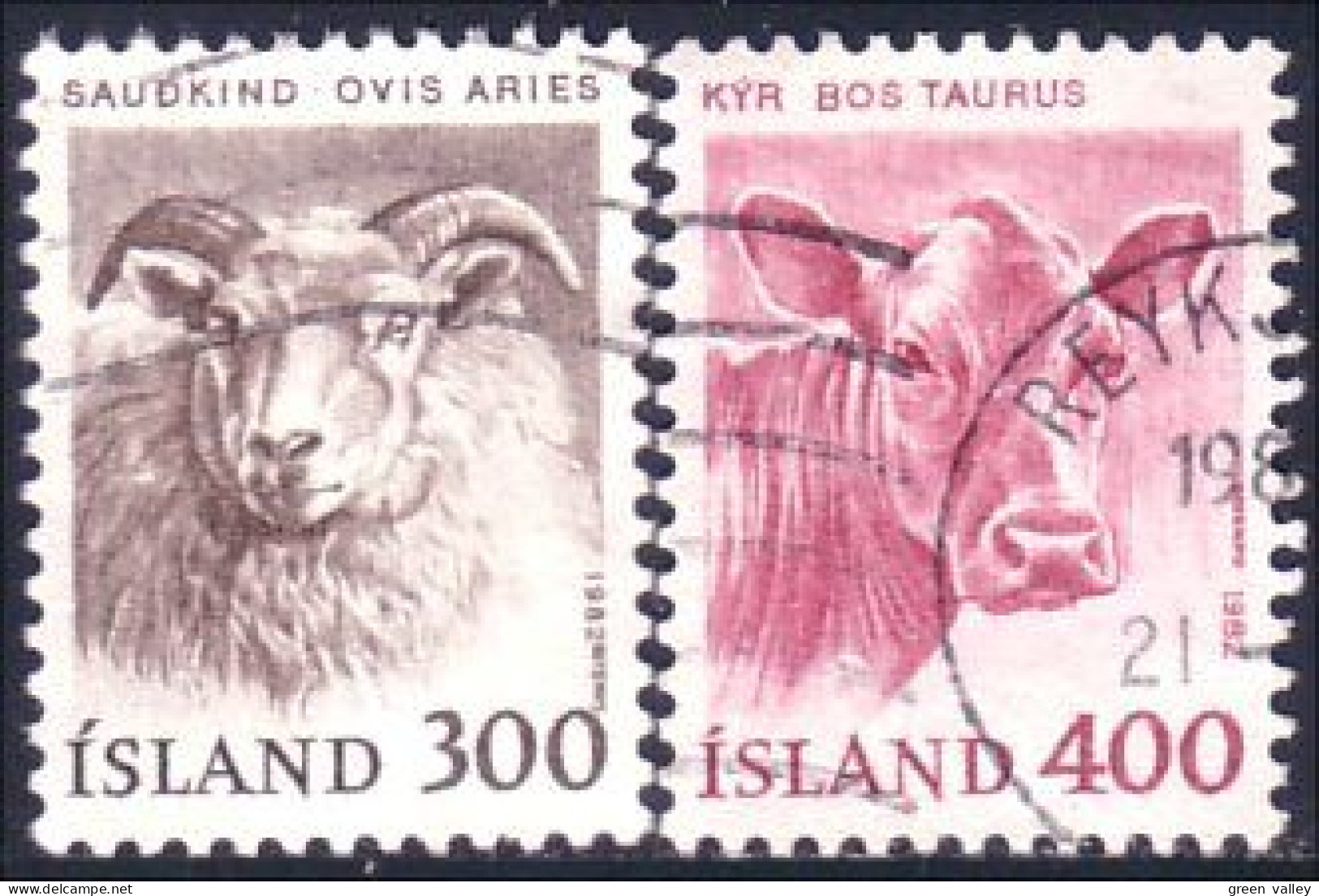 496 Iceland Mouton Sheep Vache Cow Bull Taureau (ISL-306) - Neufs