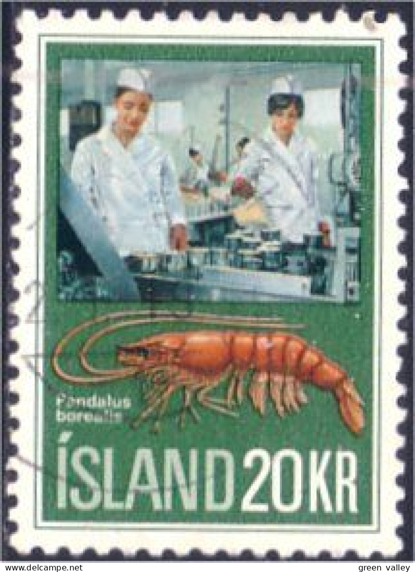 496 Iceland Lobster Homard (ISL-252) - Schalentiere