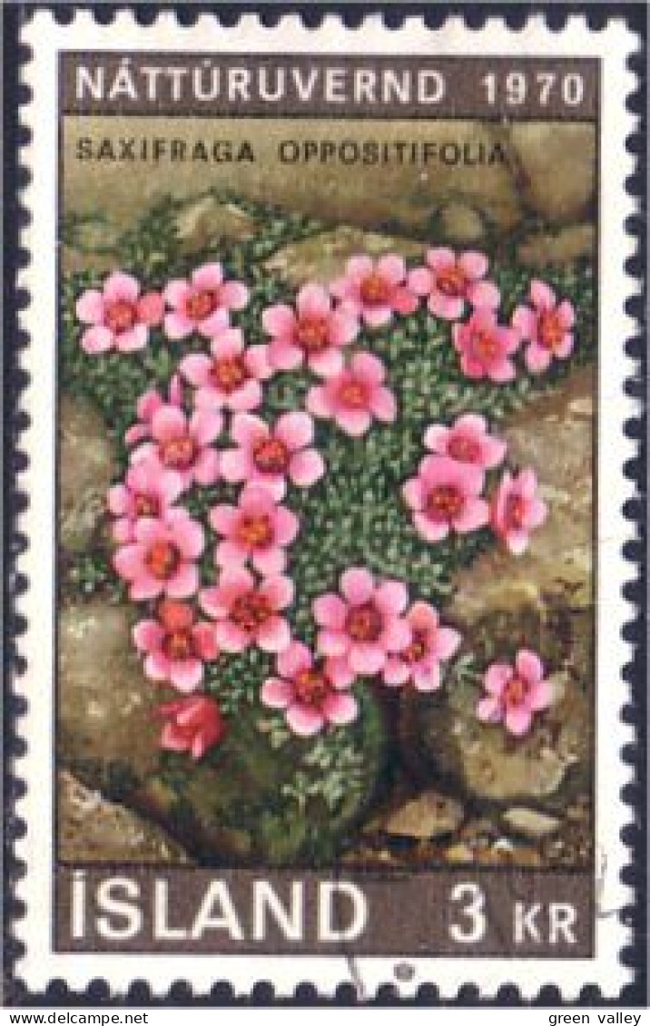 496 Iceland Saxifraga (ISL-254) - Unused Stamps