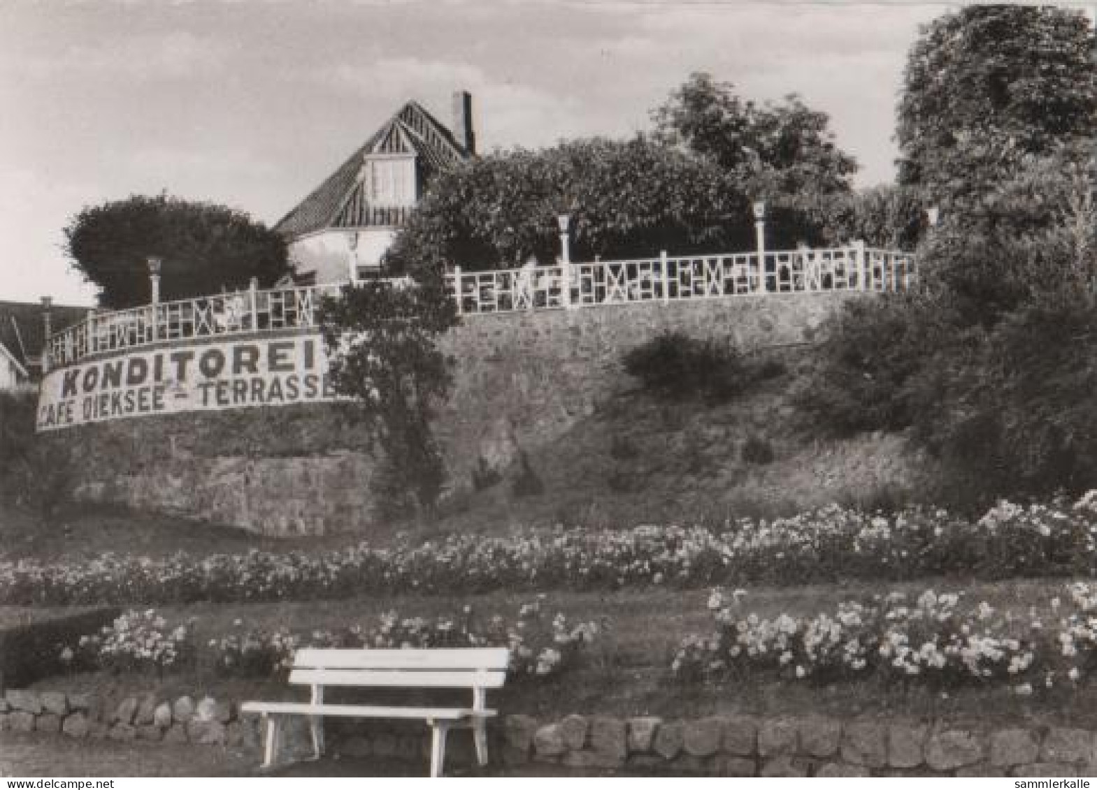 12269 - Malente - Cafe Dieksee-Terrassen - Ca. 1965 - Malente-Gremsmuehlen