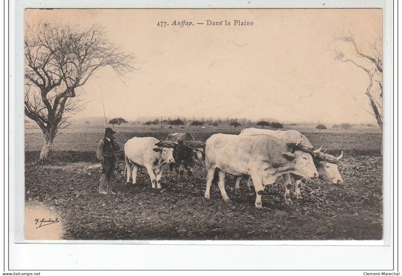 AUFFAY - Dans La Plaine - Très Bon état - Auffay