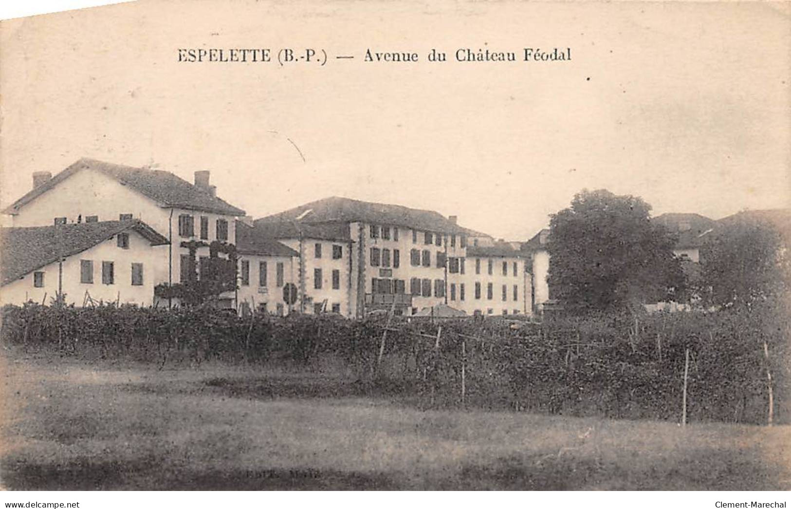 ESPELETTE - Avenue Du Château Féodal - Très Bon état - Espelette
