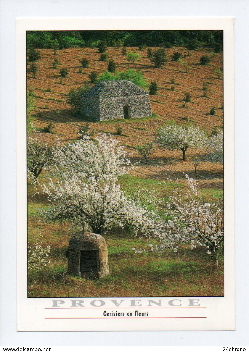 Provence: Cerisiers En Fleurs, Borie, Image De Provence, Photo: Wallis (24-79) - Trees