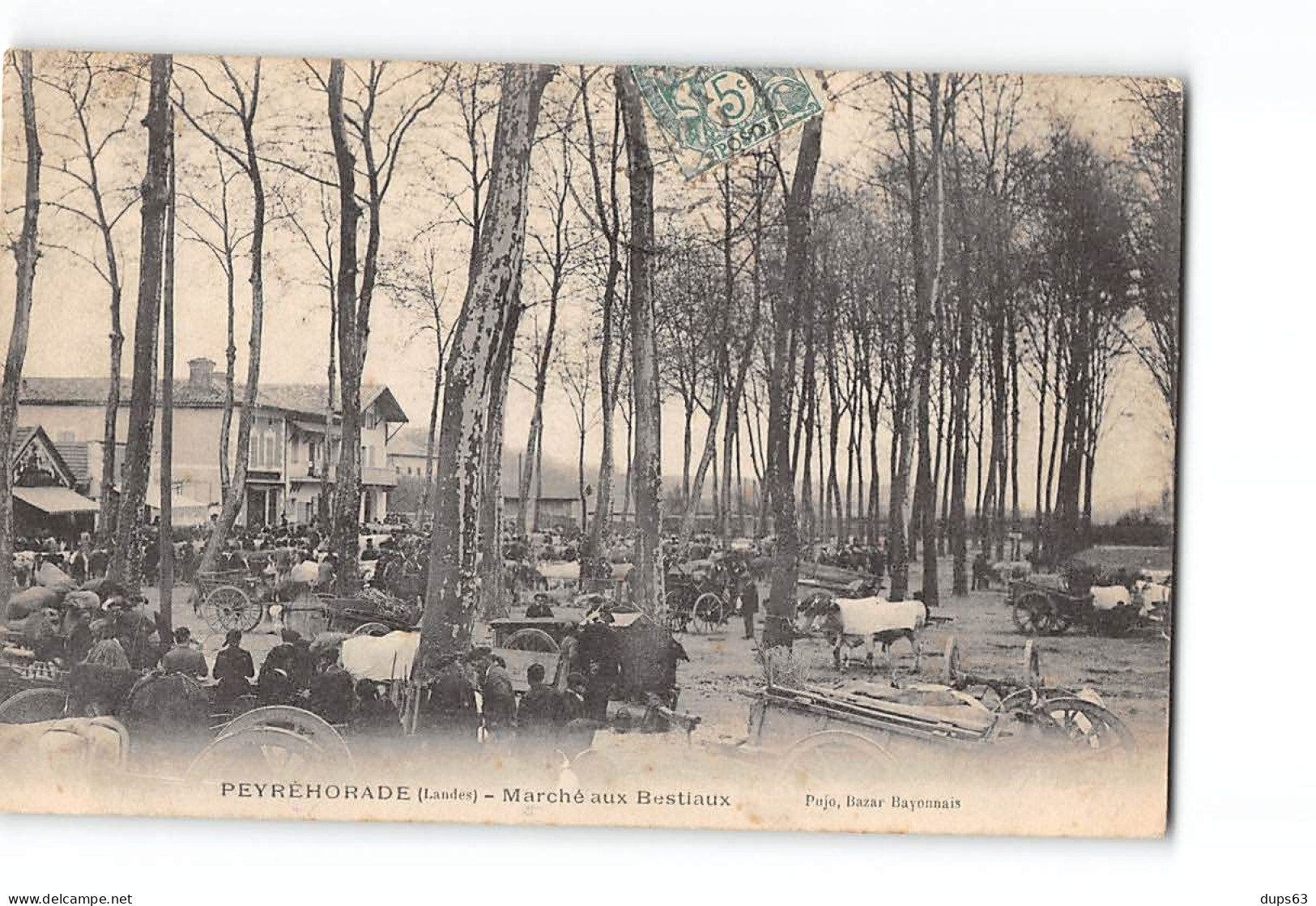 PEYREHORADE - Marché Aux Bestiaux - Très Bon état - Peyrehorade