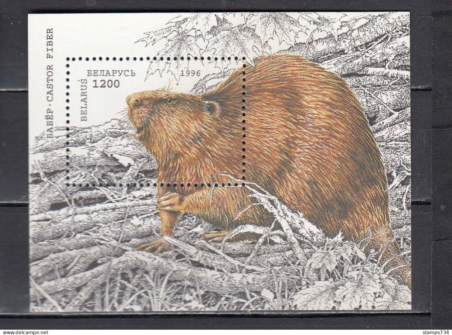 Belarus 1996 - Animals: Beaver, Mi-Nr. Block 6, MNH** - Belarus