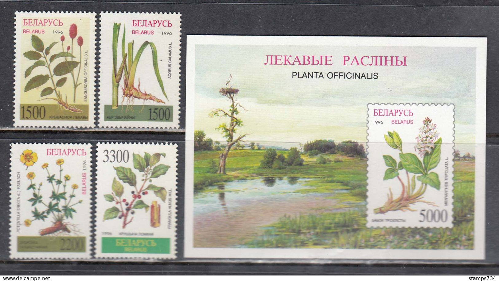 Belarus 1996 - Medicinal Plants, Mi-Nr. 158/61+Block 11, MNH** - Belarus