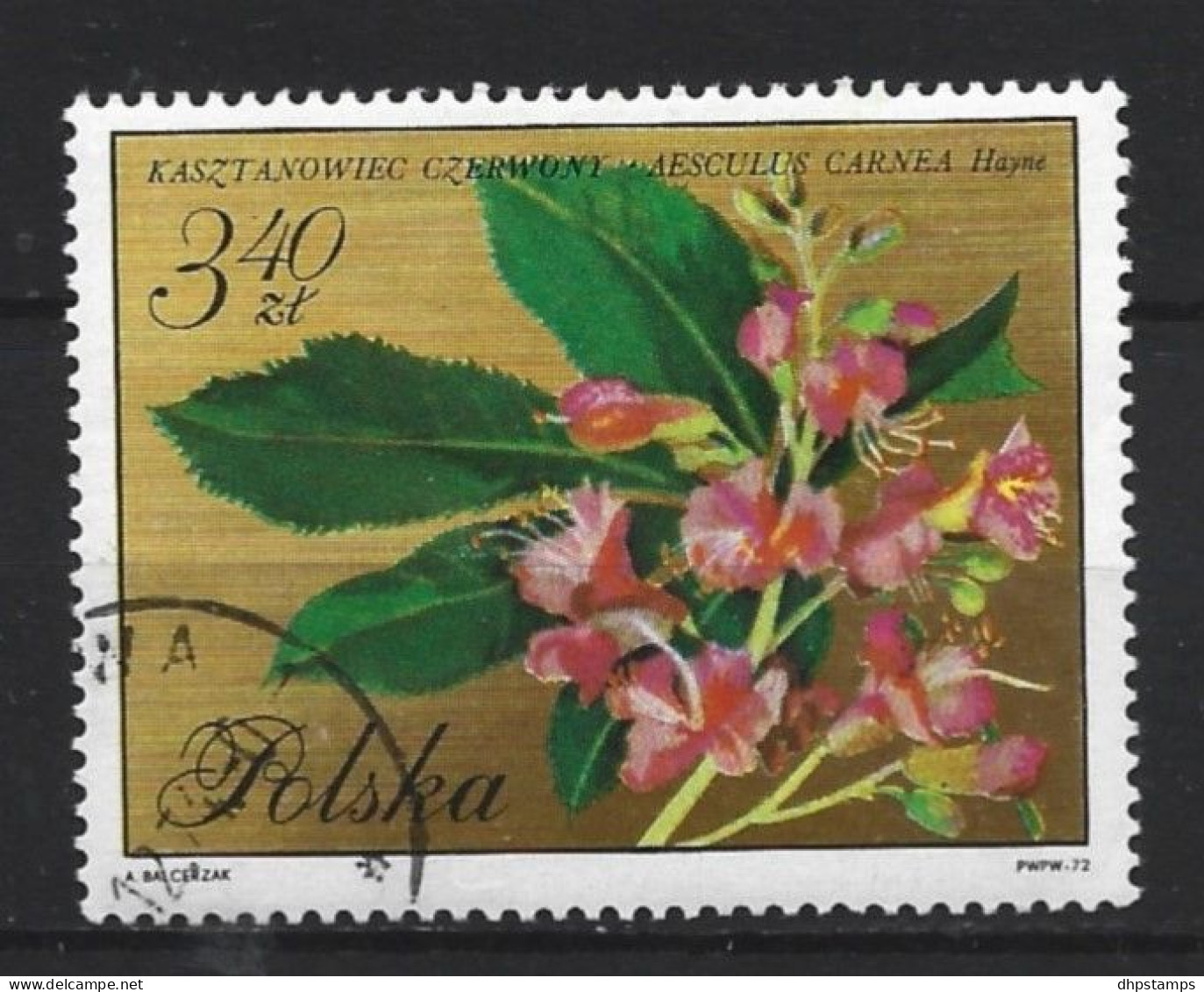 Polen 1971 Flowers Y.T. 1986 (0) - Ongebruikt