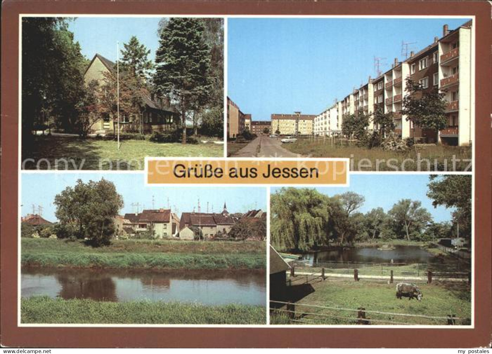72324161 Jessen Elster Kinderkurheim SdF Teilansicht Tierpark Jessen Elster - Jessen